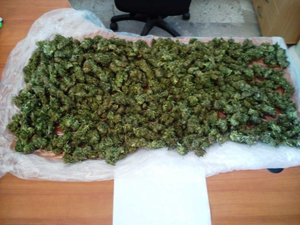 «Έσπειραν» χασίς γύρω από το σπίτι τους στην Άρτα!!