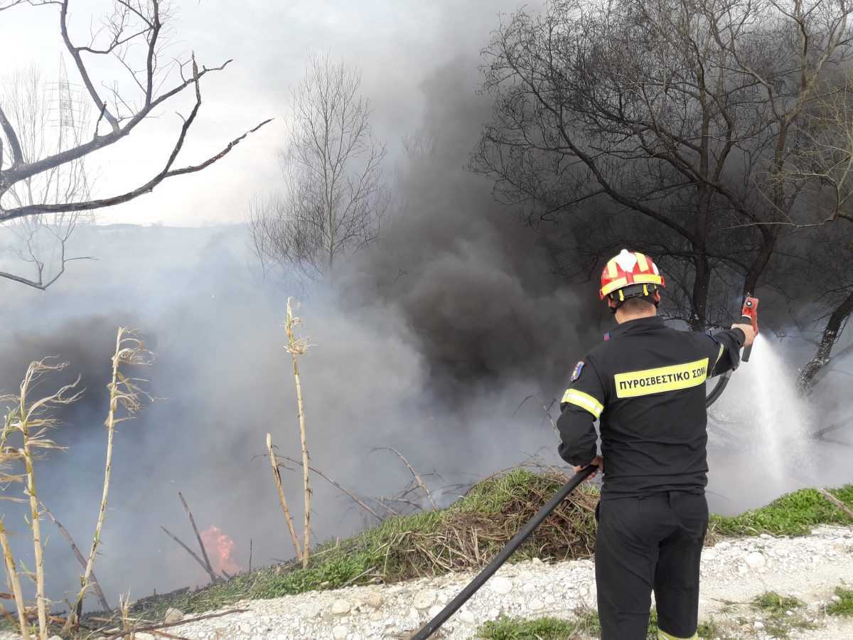 Κατασβέστηκε η φωτιά στο Σταυροχώρι Πρέβεζας (Βίντεο)