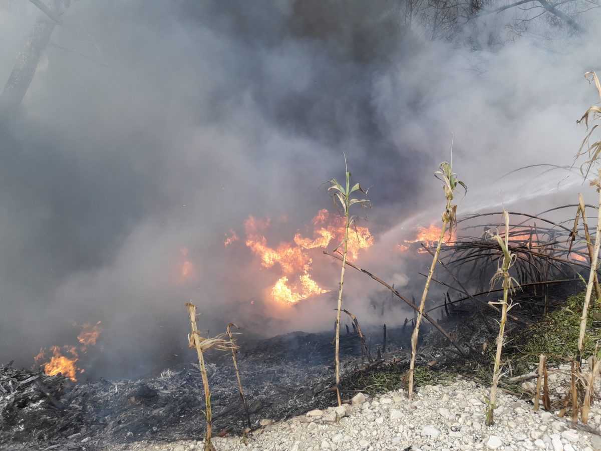 Έκτακτο: Φωτιά στο Σταυροχωρι Πρέβεζας