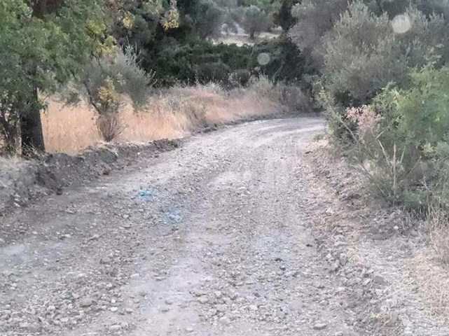 Εργασίες αποκατάστασης των ζημιών σε Αχέροντα, Φιλιππιάδα και Λάμαρη που προκλήθηκαν σε αγροτικούς δρόμους, από τις έντονες βροχοπτώσεις!