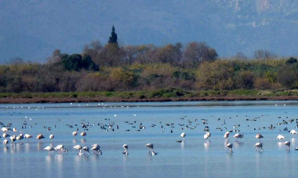 Στρατηγικές Τοπικής Ανάπτυξης στους Δήμους Πρέβεζας, Πάργας και Ζηρού μέσω LEADER
