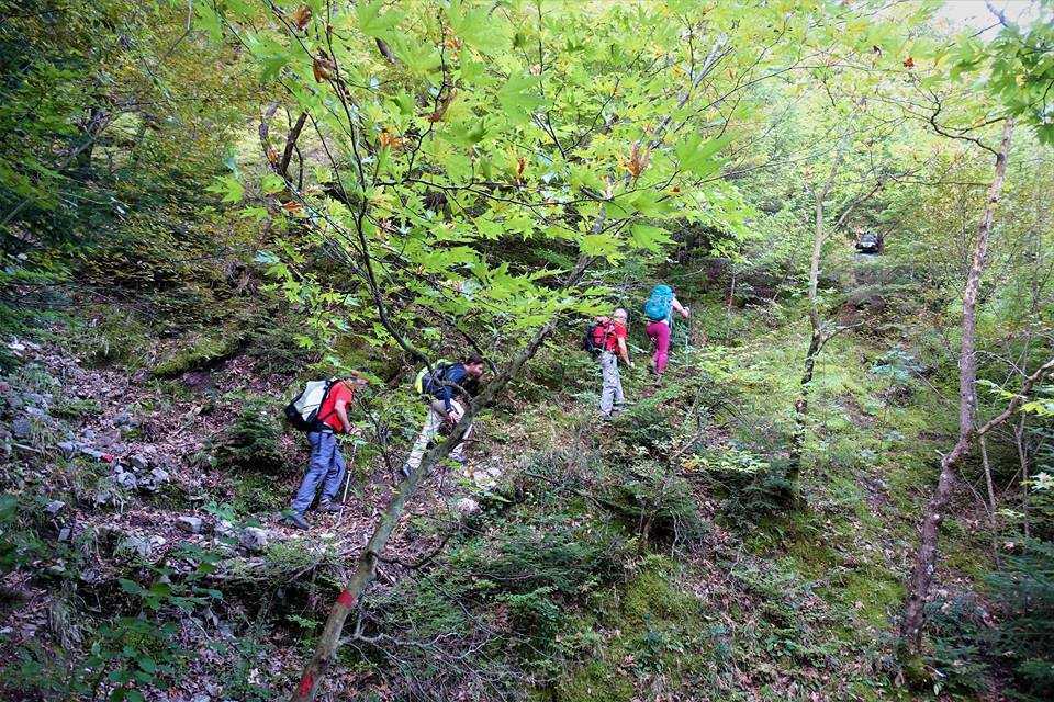 Χάνονται το ένα μετά το άλλο τα πανέμορφα μονοπάτια στη Θεσπρωτία