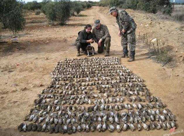 Στο έλεος των Ιταλών κυνηγών η Θεσπρωτία και η Πρέβεζα – Οι Ιταλοί δεν έρχονται για να κυνηγήσουν, αλλά για να ρημάξουν!!