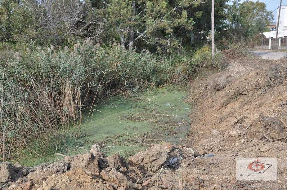 Σε εξέλιξη μεγάλη αστυνομική επιχείρηση στη ΒΙΠΕ Πρέβεζας στο σημείο που εντοπίστηκε το κρανίο το οποίο πιθανολογείται ότι ανήκει στην αγνοούμενη Αγγελική Πεπόνη.