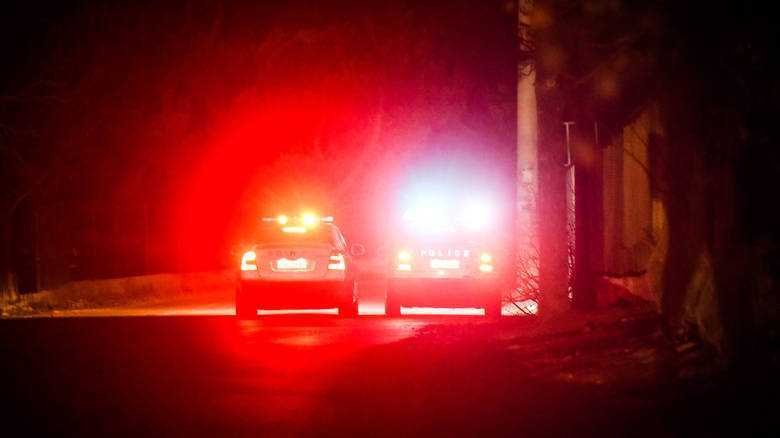 Αιματηρή συμπλοκή μεταξύ Αλβανών κακοποιών και αστυνομικών στη Βήσσανη Ιωαννίνων