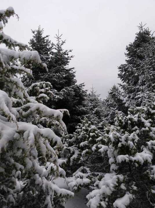 Τα πρώτα χιόνια έπεσαν στα ορεινά του Σουλίου