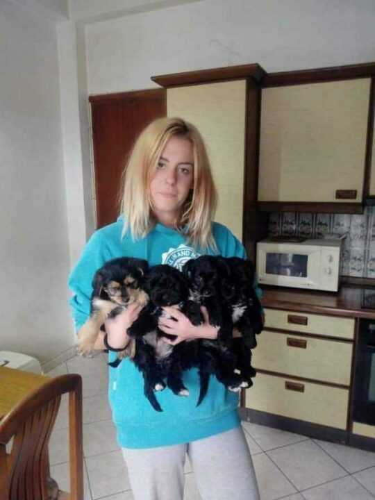 Η πρόεδρος του Συλλόγου προστασίας των Ζώων Πάργας στο Prisma 91,6 : Έχουμε πάει στον εισαγγελέα τον Δήμο για να μας παρέχει τα αυτονόητα!! 