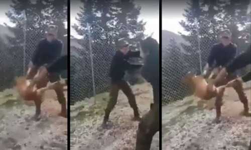 Από στρατοδικείο θα περάσουν οι οπλίτες που κακοποίησαν το σκύλο