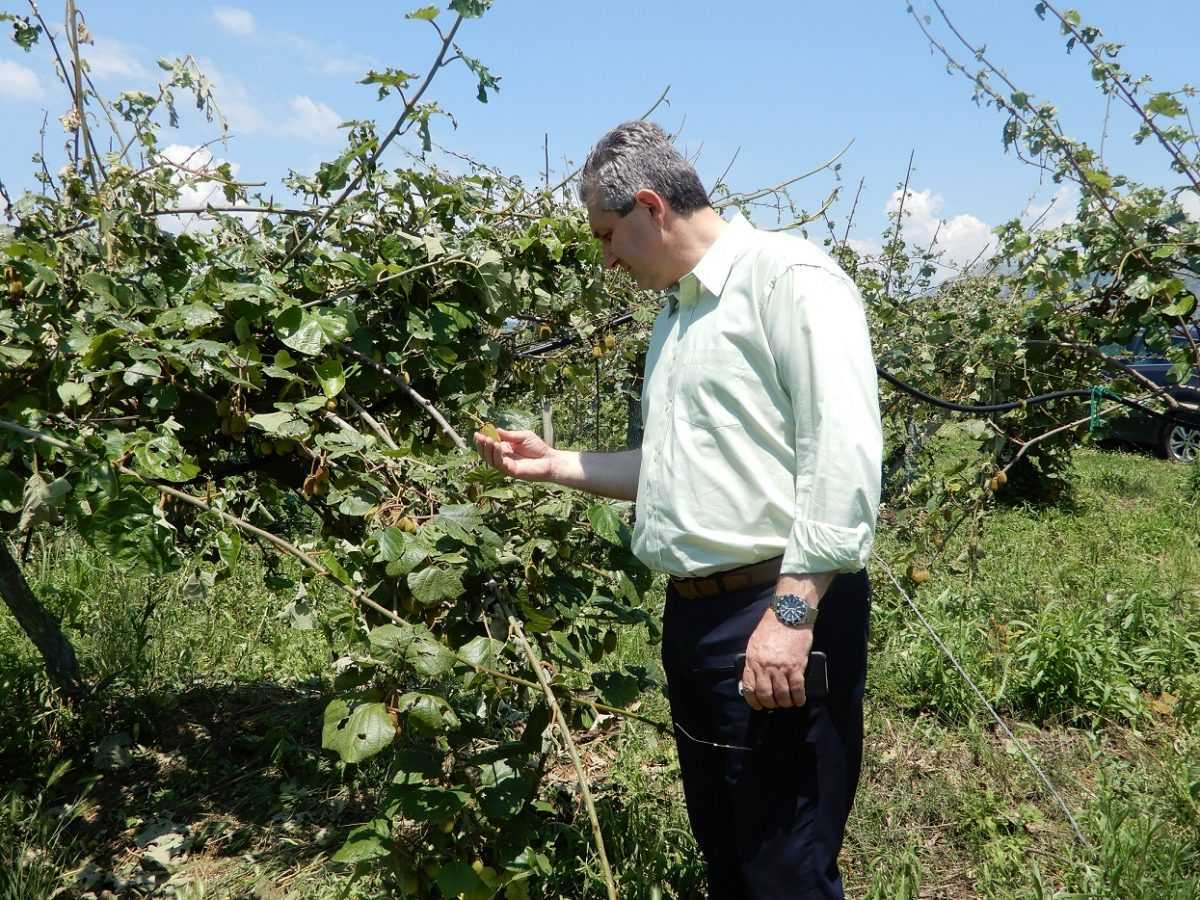 Άμεση καταγραφή ζημιών και καταβολή αποζημιώσεων από τις καταστροφές λόγω χαλαζόπτωσης σε καλλιέργειες ζητά ο Δήμαρχος Αρταίων