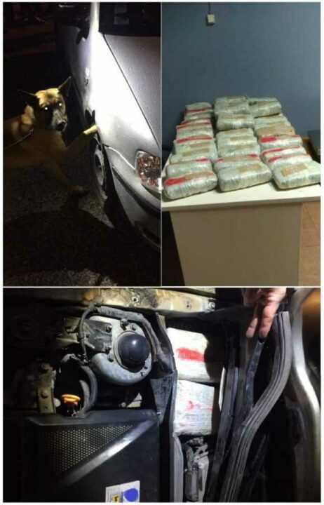 Ιωάννινα: Έναν ακόμα έμπορο ναρκωτικών εντόπισε ο αστυνομικός σκύλος «Nero»!