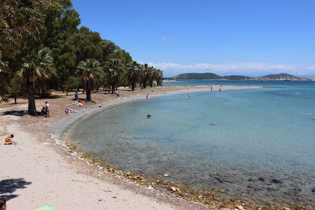 Νεκρή χελώνα εντοπίστηκε στην Κυανή Ακτή – Δεύτερο περιστατικό μέσα σε λίγες μέρες