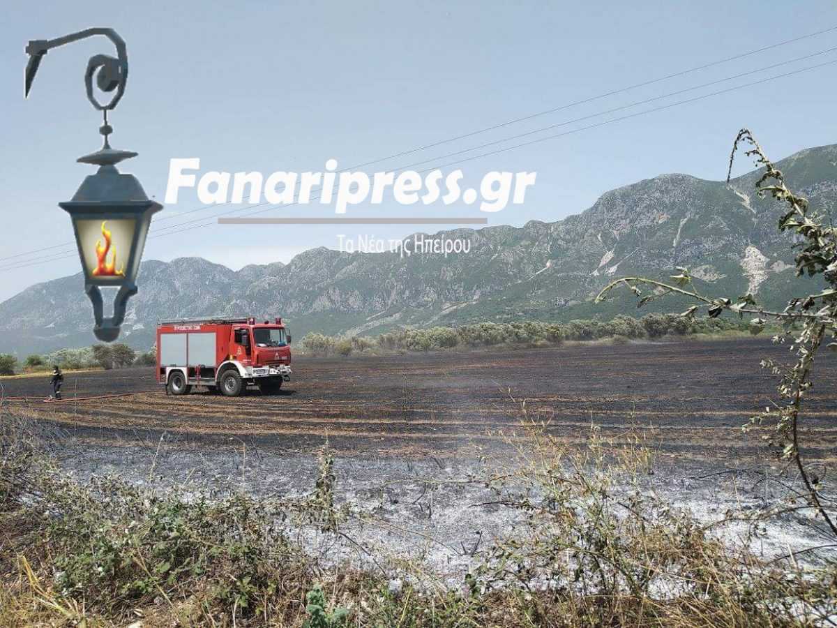 Έκτακτο – Φωτιά στο χωριό Αγορά του Δήμου Σουλίου! ! 