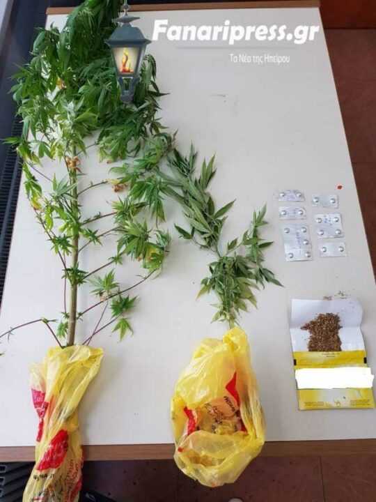 Συνελήφθη 37χρονος στα Ιωάννινα για καλλιέργεια Κάνναβης!!