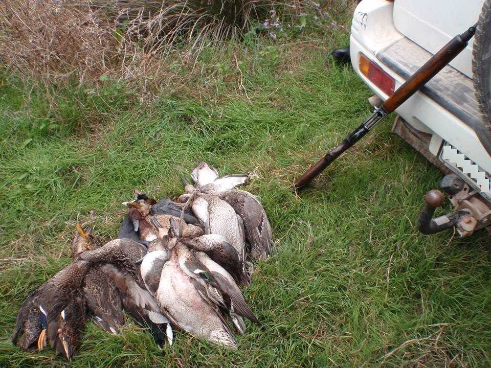 Εντοπίστηκε άτομο που κυνηγούσε παράνομα παπιά στον Αμβρακικό στην περιοχή του Τοπικού Διαμερίσματος Στρογγυλής