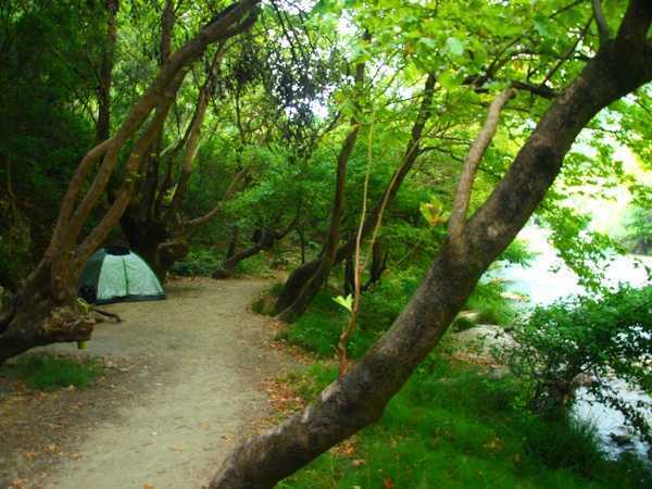 Προσλήψεις μέσω κοινωφελούς εργασίας για την προστασία του δασικού πλούτου της χώρας- 37 άτομα θα προσληφθούν στην Πρέβεζα