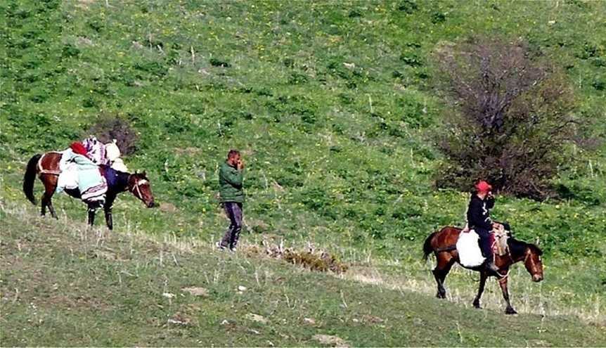 Οι «κυνηγοί» βοτάνων θερίζουν τον Γράμμο! – Ακόμη μία σύλληψη αλλοδαπού στο Πληκάτι Ιωαννίνων