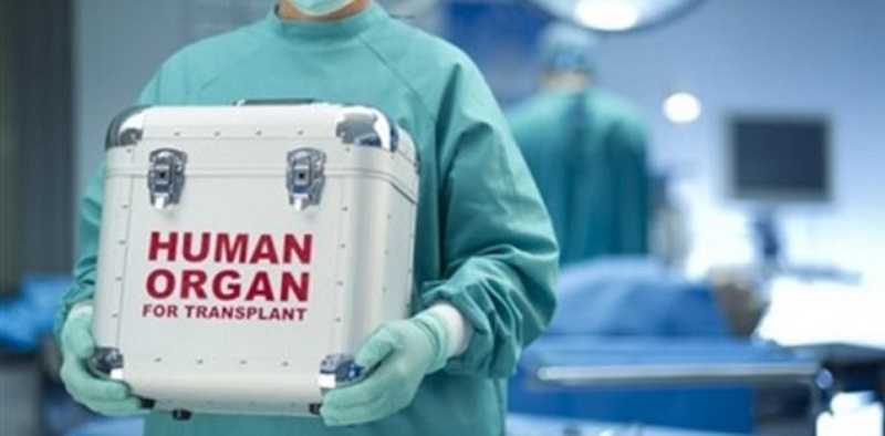 Άρτα: Ζωή σε τέσσερις ανθρώπους χάρισε νεαρός που «έσβησε» μετά από τροχαίο