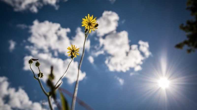 Συνεχίζεται ο καλός και ζεστός καιρός έως και το τέλος της εβδομάδας στην Ήπειρο