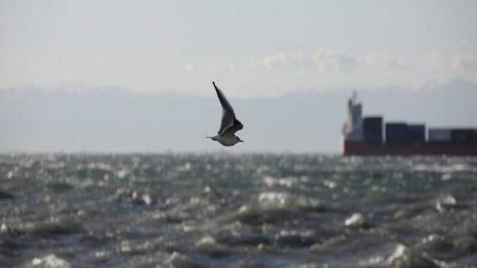 Προσοχη!! Αναγγελία θυελλωδών ανέμων από το Λιμεναρχείο Πρέβεζας!