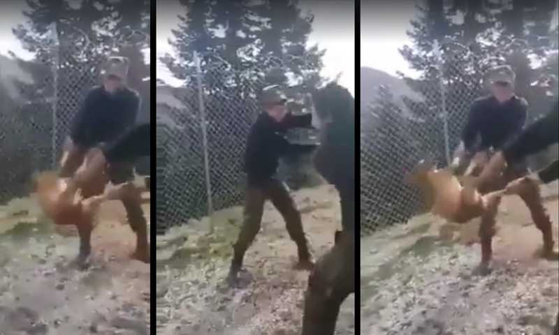 Γιαννενα: Πραγματοποιήθηκε η δίκη των φαντάρων που ,είχαν πετάξει ζωντανό σκύλο σε γκρεμό