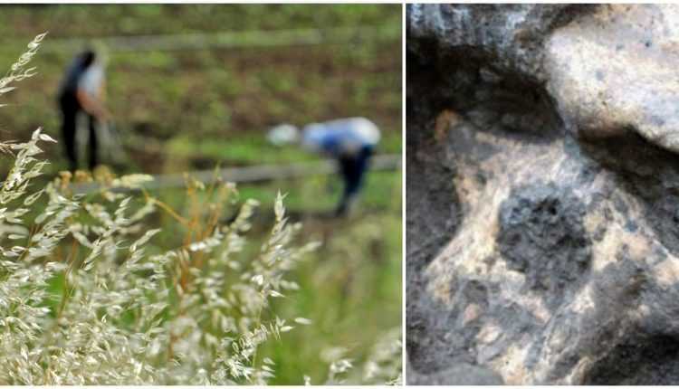 Θρίλερ στην Πρέβεζα – Εργάτες εντόπισαν ανθρώπινο κρανίο!!