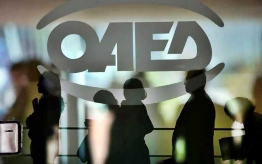 ΠΡΕΒΕΖΑ- 20 θέσεις δωδεκάμηνης απασχόλησης για άνεργους επιστήμονες