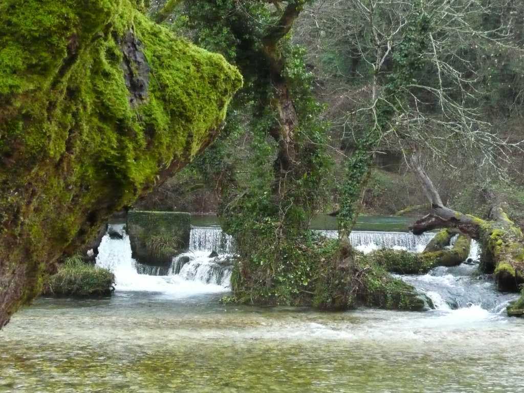 Μελέτη για την ίδρυση εμφιαλωτηρίου νερού στις πηγές Λαγκάβιτσας Θεσπρωτίας