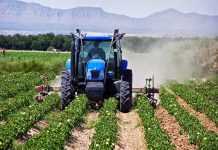 SOS για αγροκτηνοτροφία από Ήπειρο – Αν δεν ληφθούν μέτρα άμεσα, θα οδηγηθεί σε πλήρη κατάρρευση