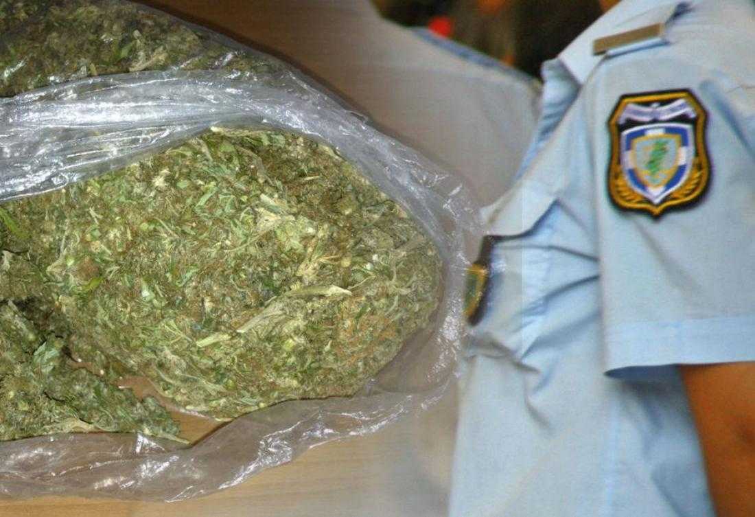 Άρτα: Ένας δικηγόρος, μια καθηγήτρια και μια φοιτήτρια είναι μεταξύ των 13 συλληφθέντων για καλλιέργεια και διακίνηση ναρκωτικών!