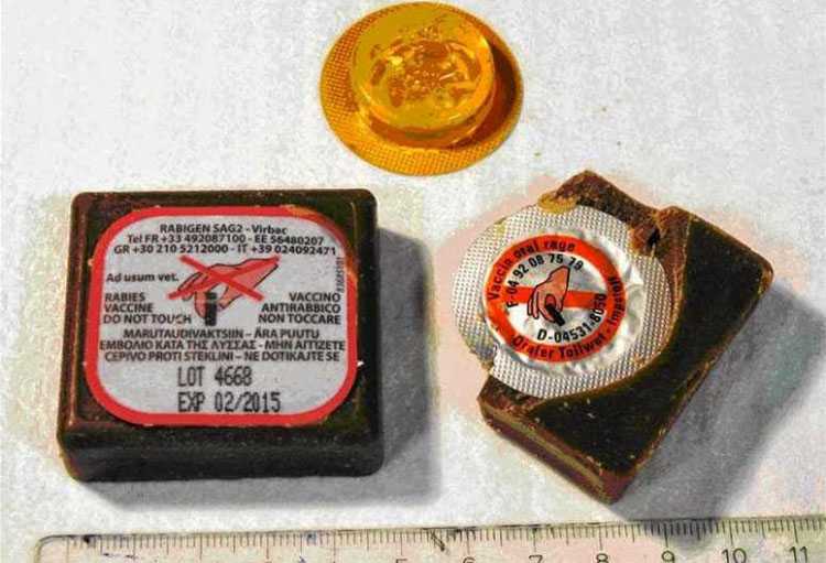 Προσοχή: Eναέρια ρήψη εμβολίων κατά της λύσσας από σήμερα στην Π.Ε Πρέβεζας