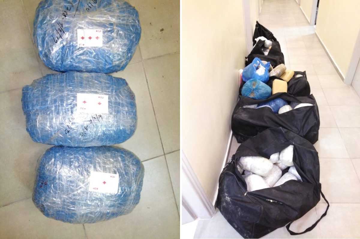 Συνελήφθησαν σε δασική περιοχή στη Λεπτοκαρυά Θεσπρωτίας, τρεις αλλοδαποί με 113 κιλά κάνναβη!!