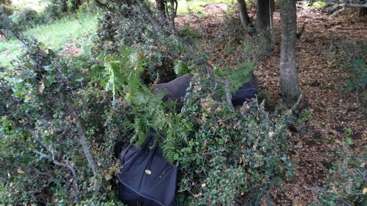 66 κιλά ακατέργαστης κάνναβης Βρέθηκαν σε «καβάτζα» σε θαμνώδη περιοχή στην Κώτσικα Θεσπρωτίας !!