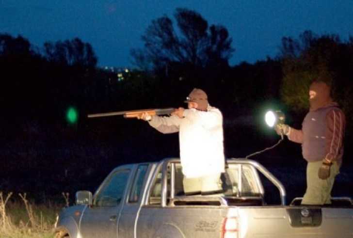 Άρτα: Κυνηγούσε νύχτα αγριογούρουνα!