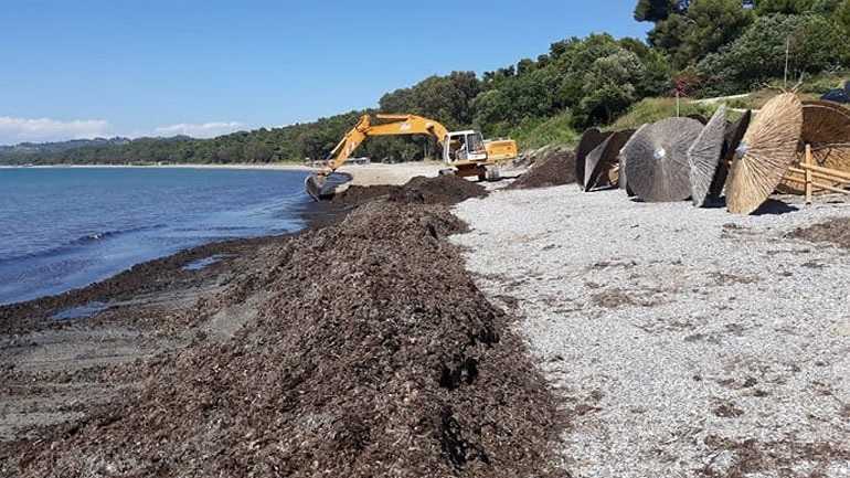 Απομακρύνθηκαν τα φύκια που κάλυψαν την παραλία στον Μύτικα Πρέβεζας