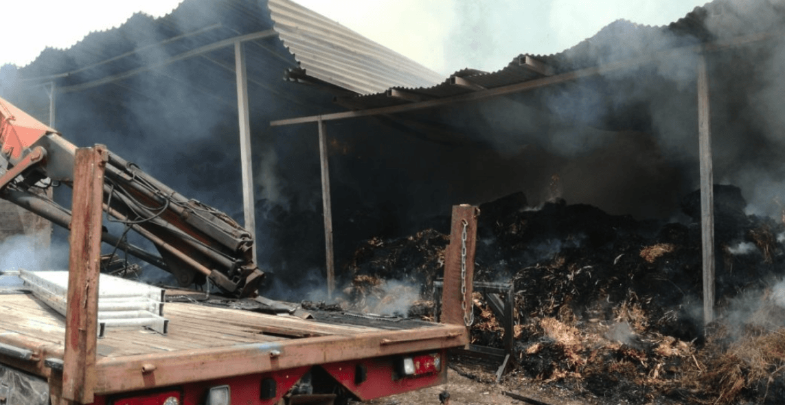 Φωτιά σε σταβλική εγκατάσταση αλόγων περιήγησης στην Γλυκή Θεσπρωτίας. (Βίντεο)