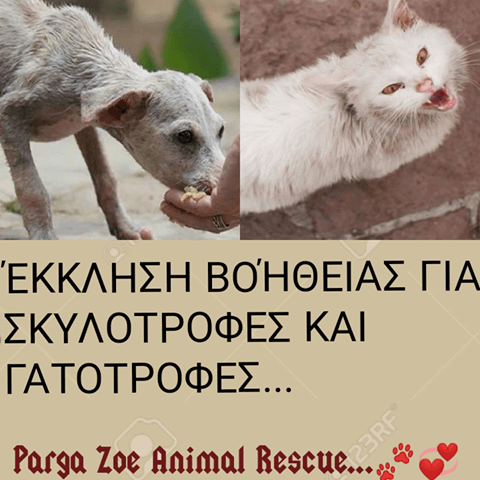 Έκκληση για τροφές από τη Σύλλογος εθελοντών για την προστασία των ζώων στην Πάργα “Ζωή”