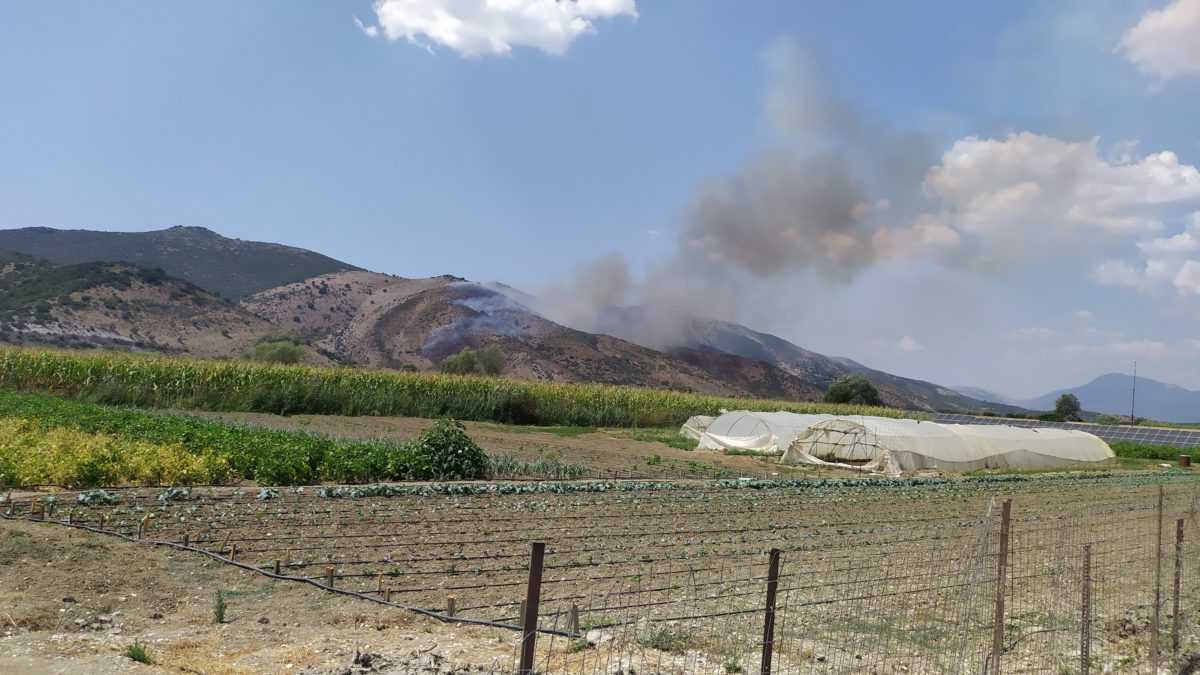 Έκτακτο: Φωτιά σε ορεινή περιοχή κοντά στο χωριό Κυψέλη του δήμου Πάργας !