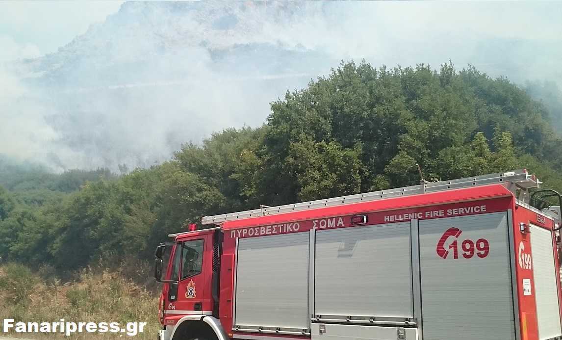 Υπό μερικό έλεγχο η φωτιά στα Μουζακαίικα!