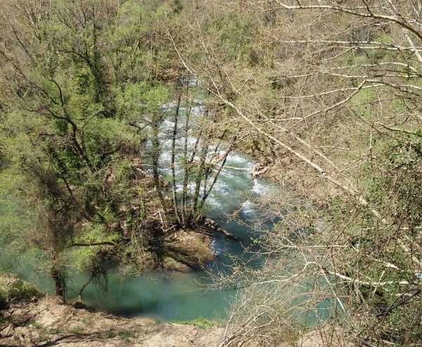 Ηπειρος: Πετούν νεκρά ζώα σε προστατευόμενες περιοχές!