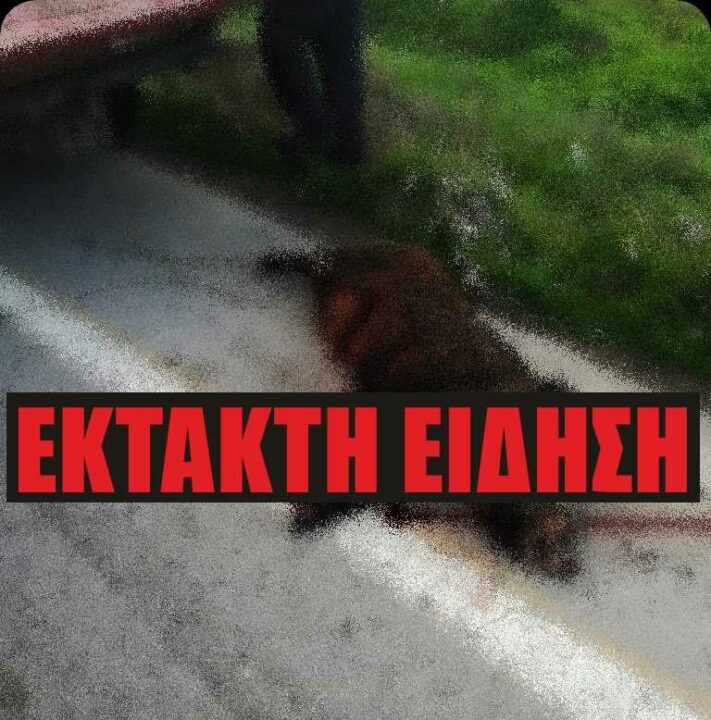 Τροχαίο ατύχημα με αγριογούρουνο στη Κυψέλη Δήμου Πάργας