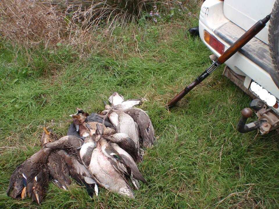 Άρτα: Κυνηγούσαν παράνομα πάπιες στον Αμβρακικό