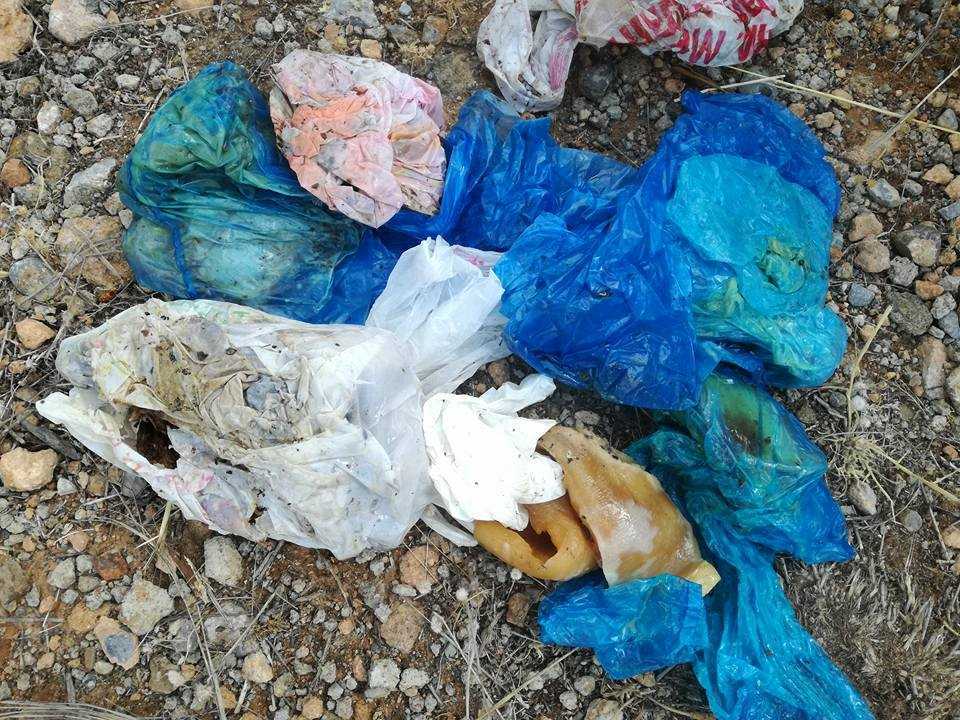 Ιωάννινα: Ακόμα ένας σκύλος νεκρός από φόλα στην περιοχή Γιαννιώτικο Σαλόνι