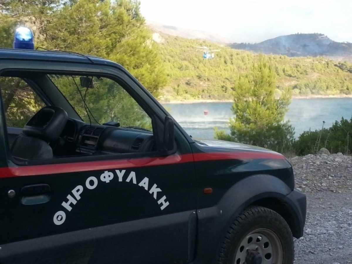 Άρτα: Συνελήφθησαν λαθροθήρες από την Θηροφυλακή της Ε’ Κυνηγετικής Ομοσπονδίας Ηπείρου