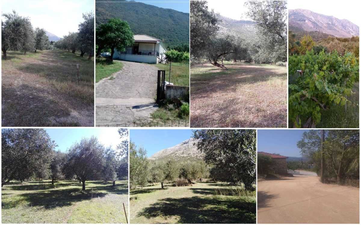 Μεγάλη ευκαιρία!! Πωλείται οικόπεδο άρτιο και οικοδομήσιμο, εντός σχεδίου στο χωρίο Αηδόνι του δήμου Πάργας – Κατάλληλο και για κατασκευή τουριστικής επιχείρησης!