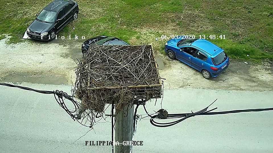 Τους πρώτους πελαργούς αναμένεται να υποδεχθεί η Φιλλιπιάδα