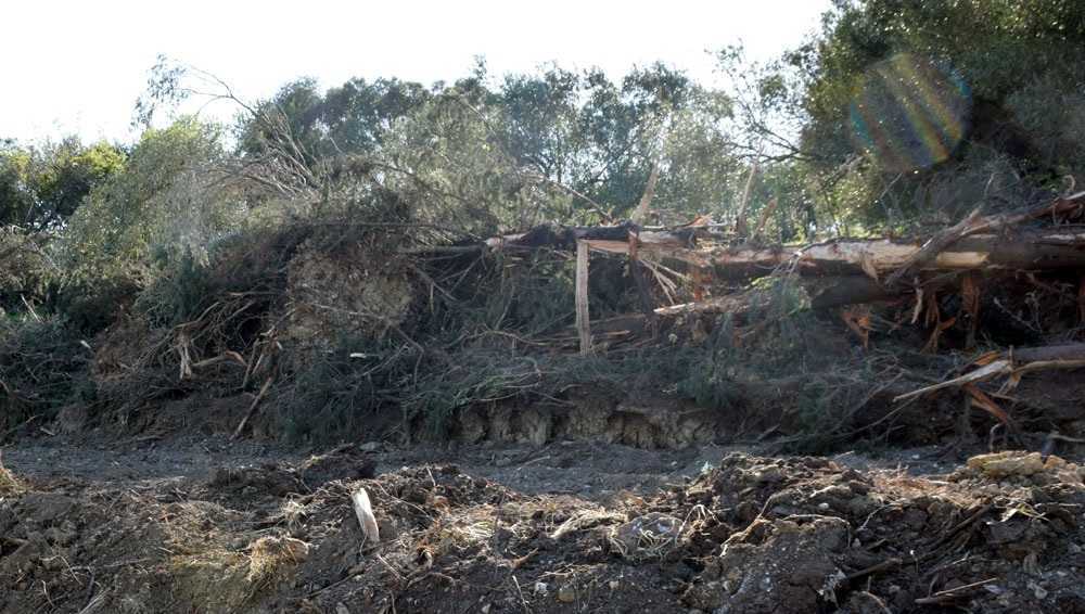 Πρέβεζα: Μηχανήματα του Δημου προκάλεσαν πλήγμα στο περιβάλλον στο χωριό Φλάμπουρα