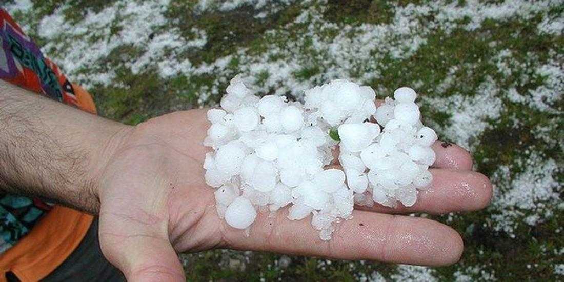 Άρτα: 10.000 τόνοι ακτινιδίων χάθηκαν από το χαλάζι