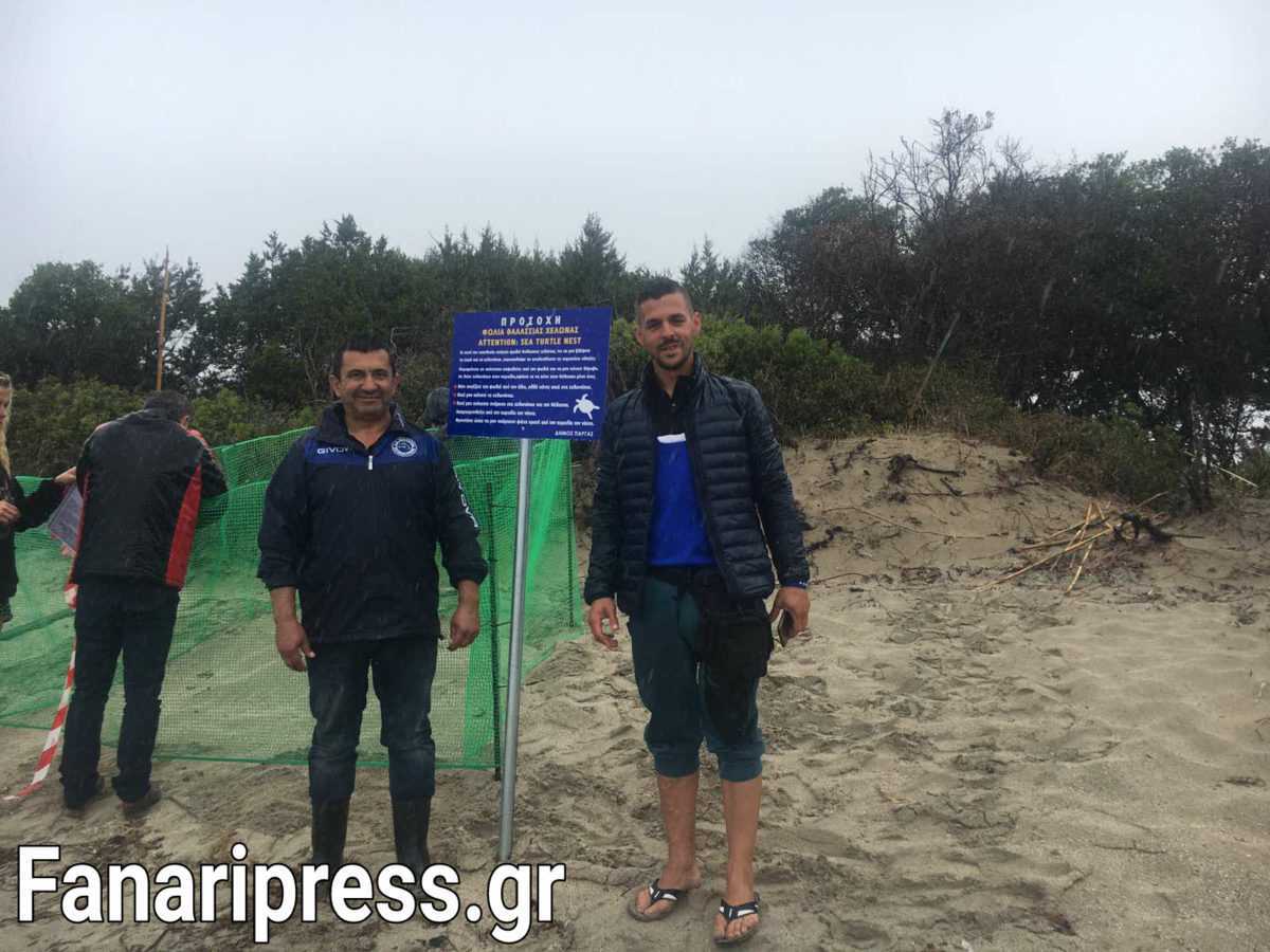 Βρέθηκε φωλιά χελώνας καρέτα καρέτα στην παραλία της Κερέντζας Βαλανιδορράχης