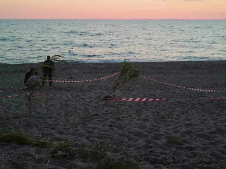 Μοναδικές εικόνες από την παρουσία χελώνας Καρέτα-Καρέτα στην ακτή του Μονολιθίου κατέγραψε η ομάδα ΔΙΑΣ στην Πρέβεζα