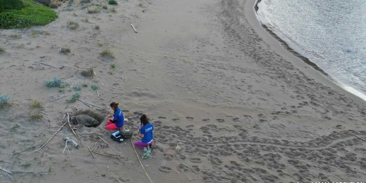  Ερευνητικά προγράμματά σε Αμβρακικό και στις ακτές της Πρέβεζα πραγματοποιεί ο “Αρχέλων”